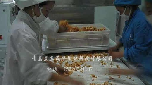 Medicine drying, pest killing and sterilization equipment