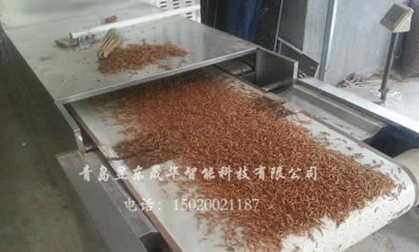 Medicine drying, pest killing and sterilization equipment
