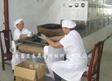Medicine drying, pest killing and sterilization equipment