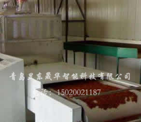 Food heating, pest killing and sterilization equipment