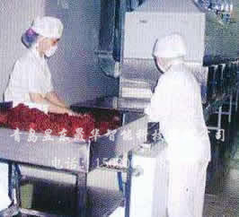 Food heating, pest killing and sterilization equipment