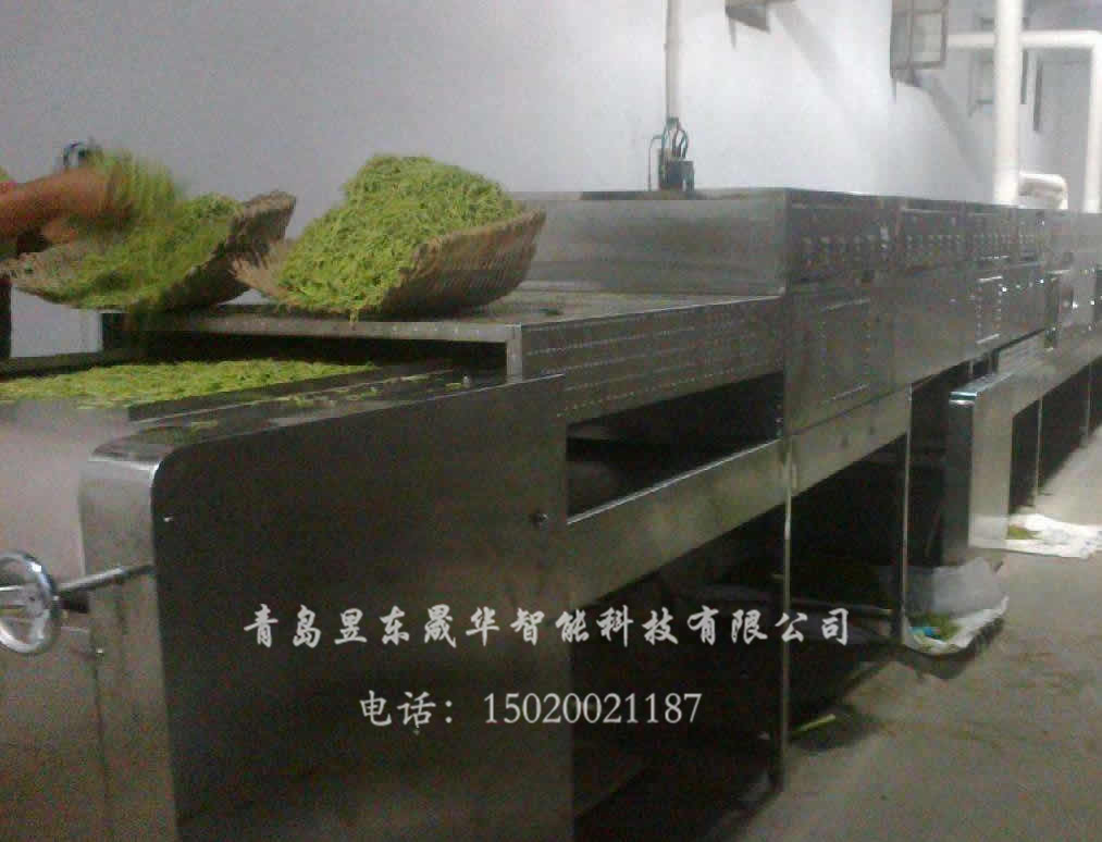 Microwave cleaning equipment