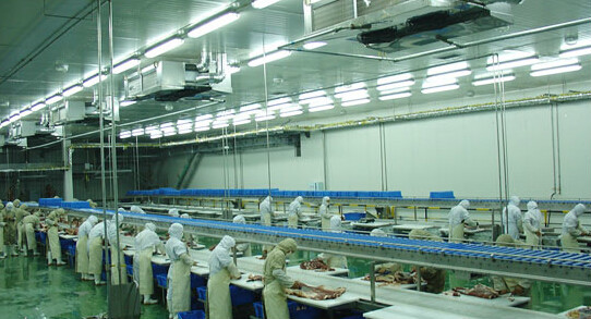 Industrial microwave defrosting equipment
